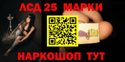 индика Моздок