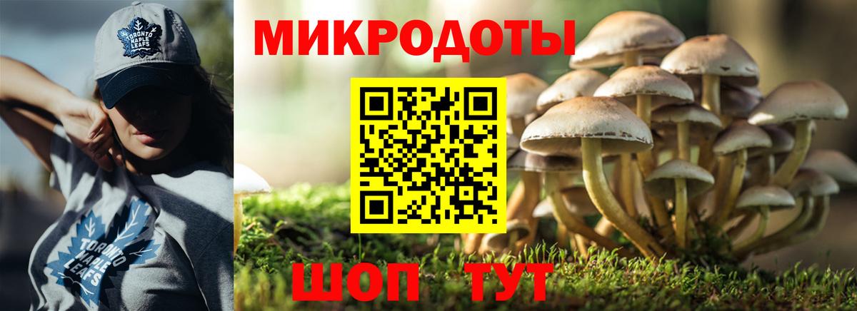 Галлюциногенные грибы ЛСД  Галлюциногенные грибы прущие грибы  Дербент  Вход с VPN 